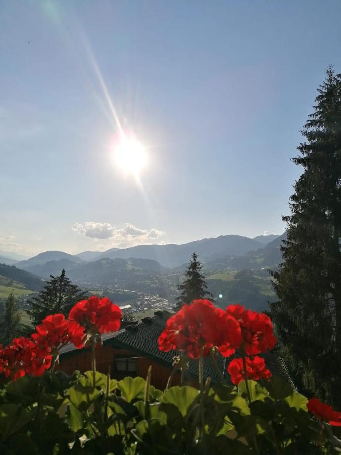 Deutschmann * Sankt Johann im Pongau
